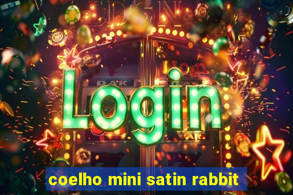 coelho mini satin rabbit